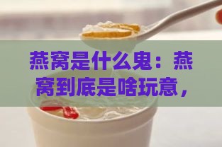 燕窝是什么鬼：燕窝到底是啥玩意，它的意思及来源解析