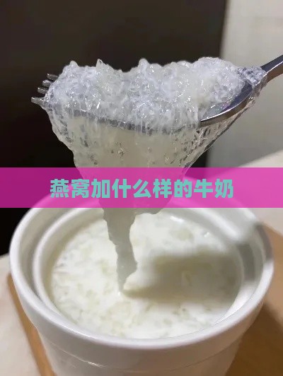 燕窝加什么样的牛奶