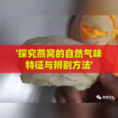 '探究燕窝的自然气味特征与辨别方法'