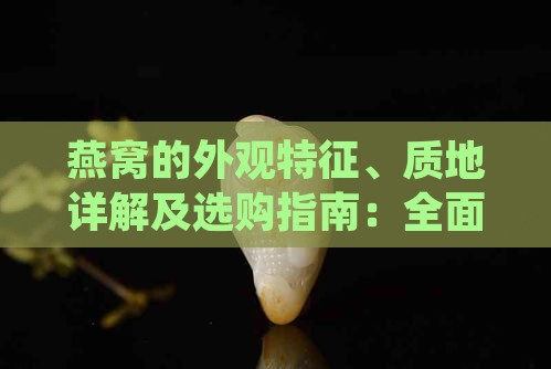 燕窝的外观特征、质地详解及选购指南：全面了解燕窝的真相