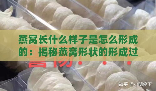 燕窝长什么样子是怎么形成的：揭秘燕窝形状的形成过程