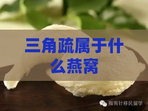 三角疏属于什么燕窝