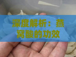 深度解析：燕窝酸的功效与作用，全面了解其对健康的益处