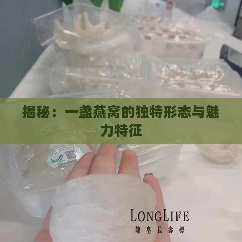 揭秘：一盏燕窝的独特形态与魅力特征