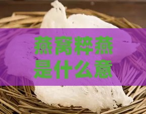 燕窝粹燕是什么意思