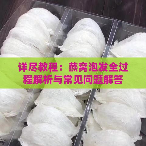 详尽教程：燕窝泡发全过程解析与常见问题解答