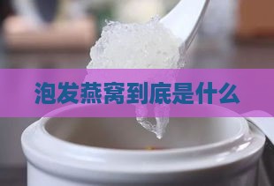 泡发燕窝到底是什么