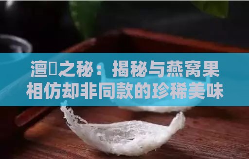 澶栬之秘：揭秘与燕窝果相仿却非同款的珍稀美味