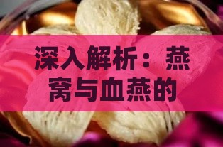 深入解析：燕窝与血燕的营养价值对比及保健功效探究