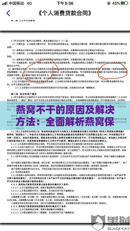 燕窝不干的原因及解决方法：全面解析燕窝保存与处理常见问题