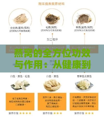 燕窝的全方位功效与作用：从健康到美容的全面解析