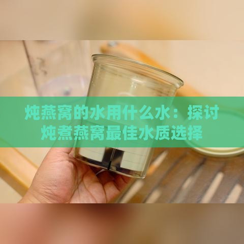 炖燕窝的水用什么水：探讨炖煮燕窝更佳水质选择