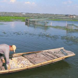 炖燕窝的水用什么水：探讨炖煮燕窝更佳水质选择