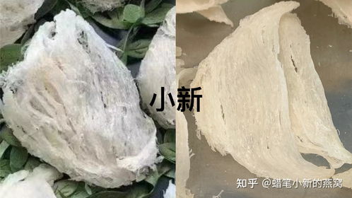 泡发的燕窝什么样的好一点：如何判断燕窝泡发得恰到好处