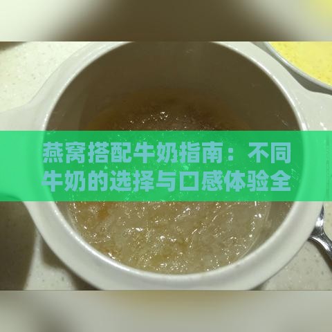 燕窝搭配牛奶指南：不同牛奶的选择与口感体验全解析