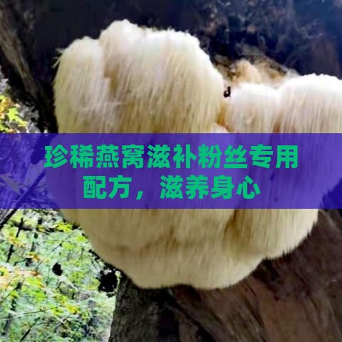 珍稀燕窝滋补粉丝专用配方，滋养身心