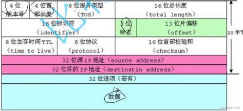 '解析燕窝规格r1的含义与选购要点'