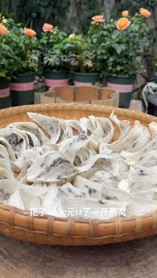 鲜炖燕窝做到什么样