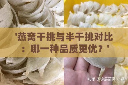 '燕窝干挑与半干挑对比：哪一种品质更优？'