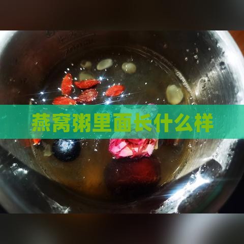 燕窝粥里面长什么样