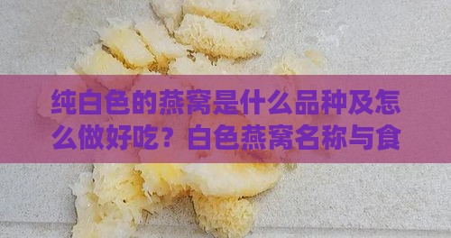 纯白色的燕窝是什么品种及怎么做好吃？白色燕窝名称与食用方法详解