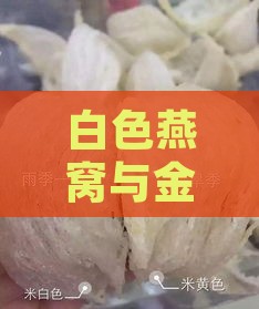 白色燕窝与金色燕窝的区别、优缺点及选购指南