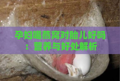 孕妇喝燕窝对胎儿好吗：营养与好处解析