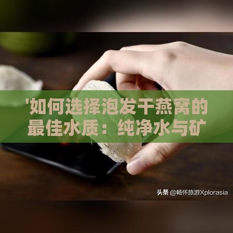 '如何选择泡发干燕窝的更佳水质：纯净水与矿泉水的对比分析'