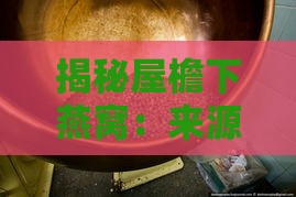 揭秘屋檐下燕窝：来源、制作、功效与常见疑问全解析