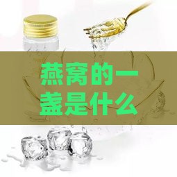 燕窝的一盏是什么意思及一盏燕窝的营养价值解析