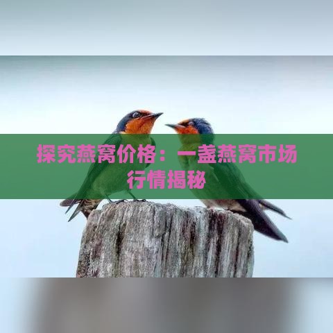 探究燕窝价格：一盏燕窝市场行情揭秘