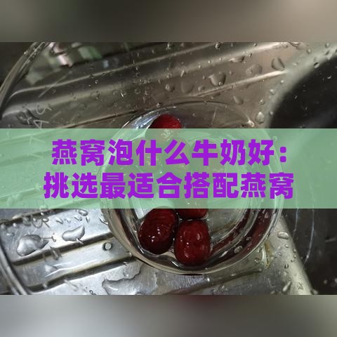 燕窝泡什么牛奶好：挑选最适合搭配燕窝的牛奶，提升口感与营养