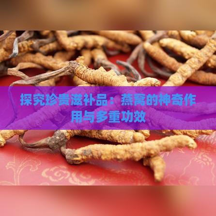 探究珍贵滋补品：燕窝的神奇作用与多重功效