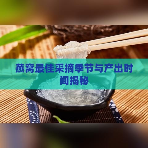 燕窝更佳采摘季节与产出时间揭秘