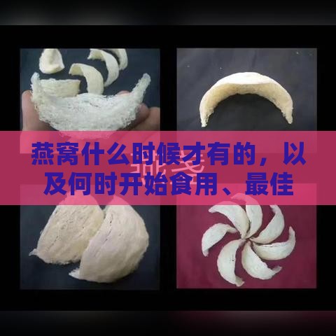 燕窝什么时候才有的，以及何时开始食用、更佳生产期与价格优惠期解析