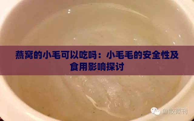 燕窝的小毛可以吃吗：小毛毛的安全性及食用影响探讨