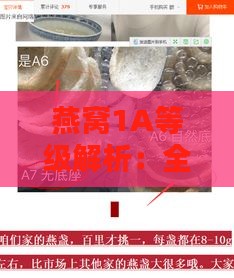 燕窝1A等级解析：全面了解燕窝品质分级与选购要点