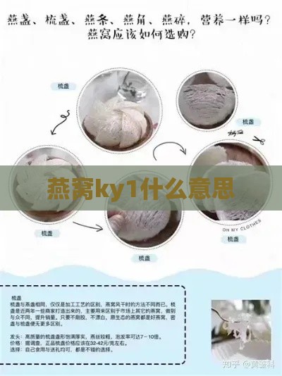 燕窝ky1什么意思