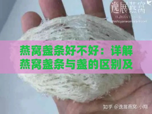 燕窝盏条好不好：详解燕窝盏条与盏的区别及优劣对比