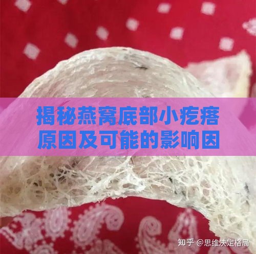 揭秘燕窝底部小疙瘩原因及可能的影响因素：全面解析燕窝品质与食用安全