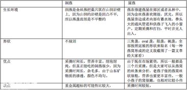 探究燕窝7A与8A等级差异：大小、质量及挑选指南