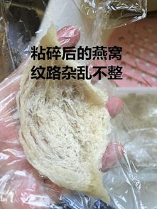 印尼燕窝是真的吗：真假鉴别、食用安全及质量功效解析