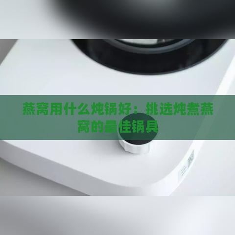 燕窝用什么炖锅好：挑选炖煮燕窝的更佳锅具