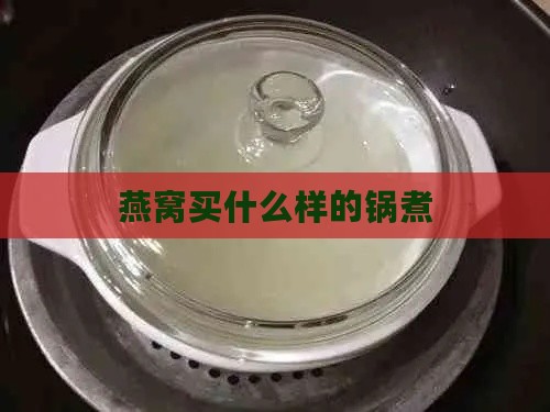 燕窝买什么样的锅煮