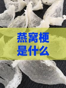 燕窝梗是什么意思啊