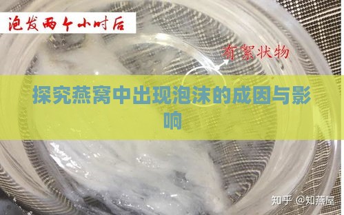 探究燕窝中出现泡沫的成因与影响