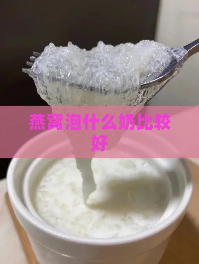 燕窝泡什么奶比较好