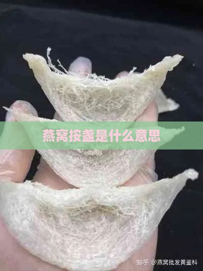 燕窝按盏是什么意思