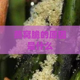 燕窝脆的原因是什么