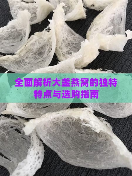 全面解析大盏燕窝的独特特点与选购指南